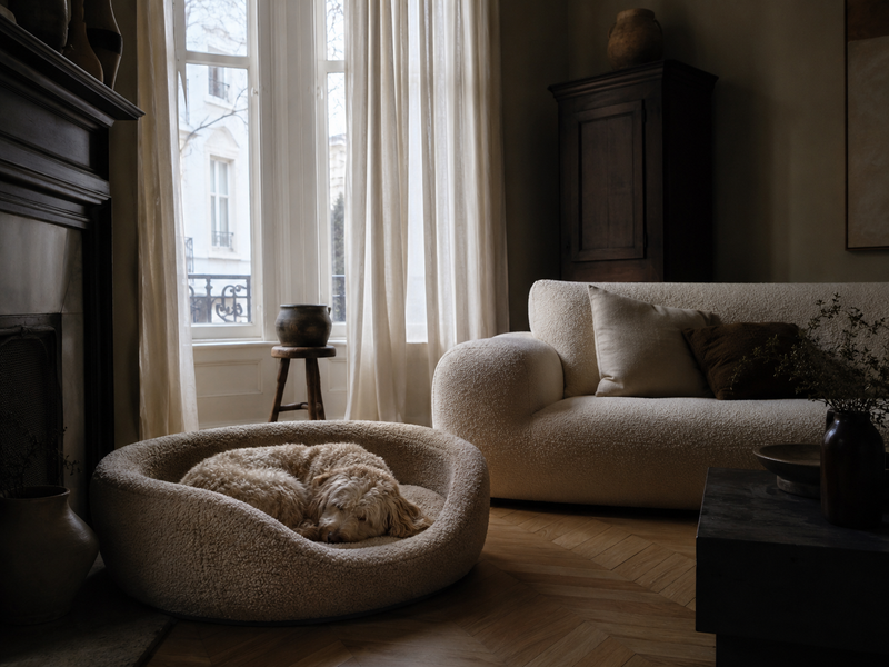 Why your dog's bed is the most important piece of furniture in your home