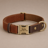 The Mayfair Collar