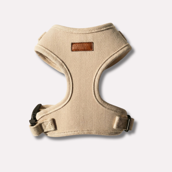 Heritage Tweed Dog Harness
