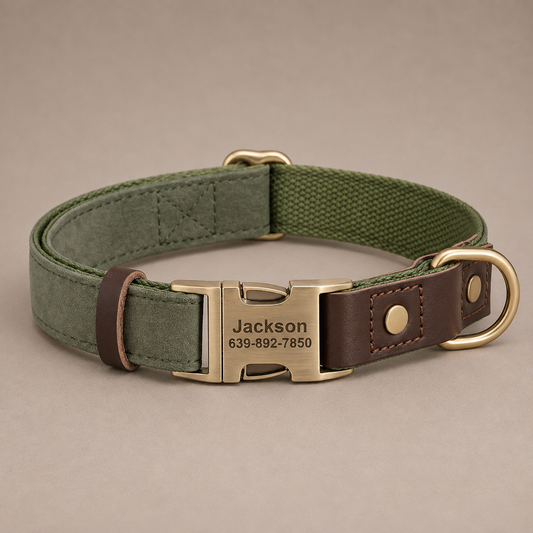 The Mayfair leather dog collar in Moss