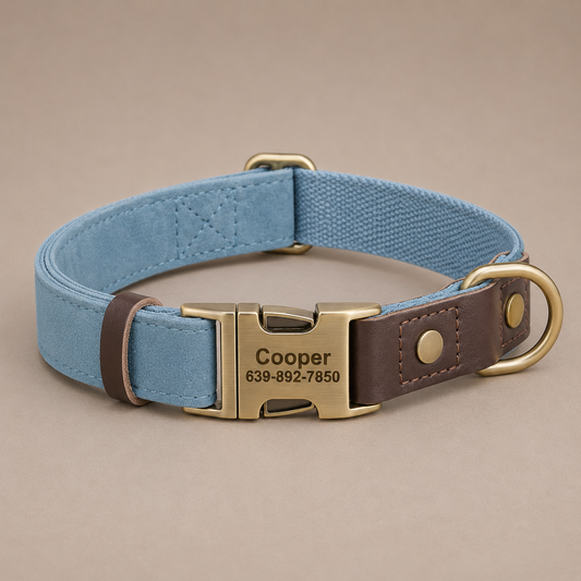 The Mayfair leather dog collar in Cornflower