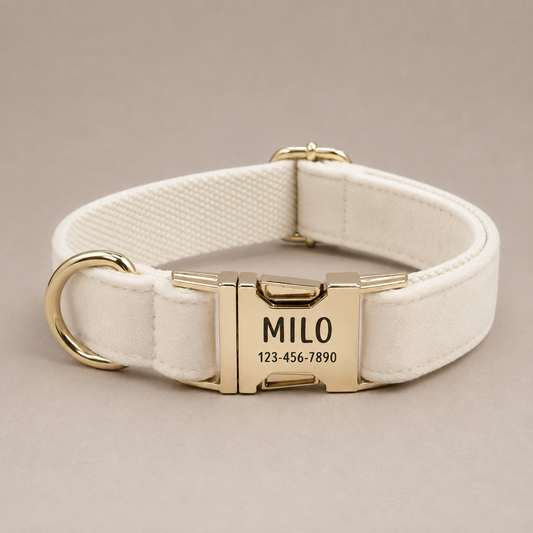 The Kensington Collar in Ivory