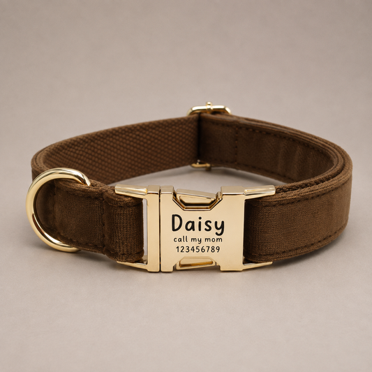 The Kensington Collar in Chestnut
