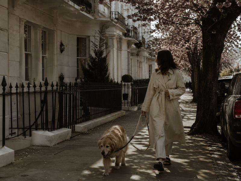 The London dog owners redefining what luxury means for their pets