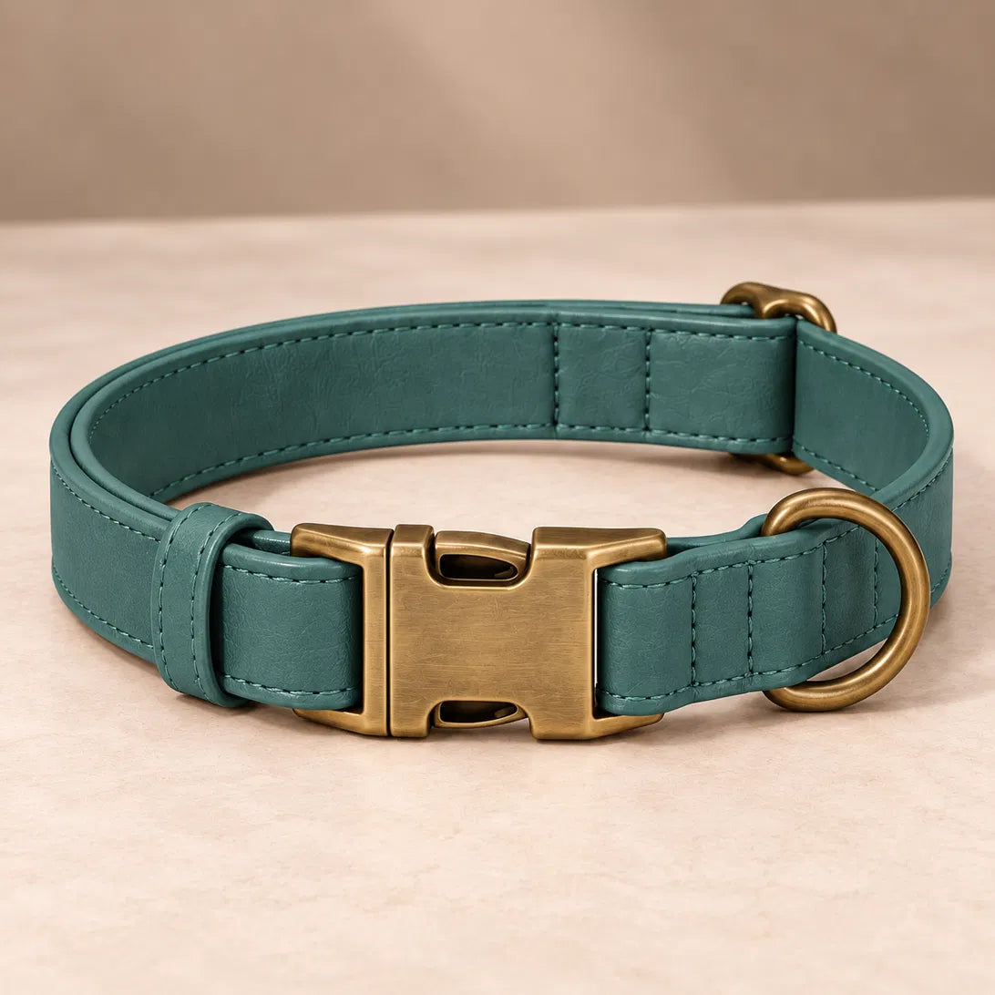 Teal vegan leather dog collar with antique brass buckle, ready to engrave