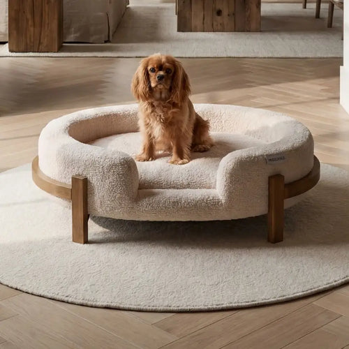 Belgravia Elevated Lounger