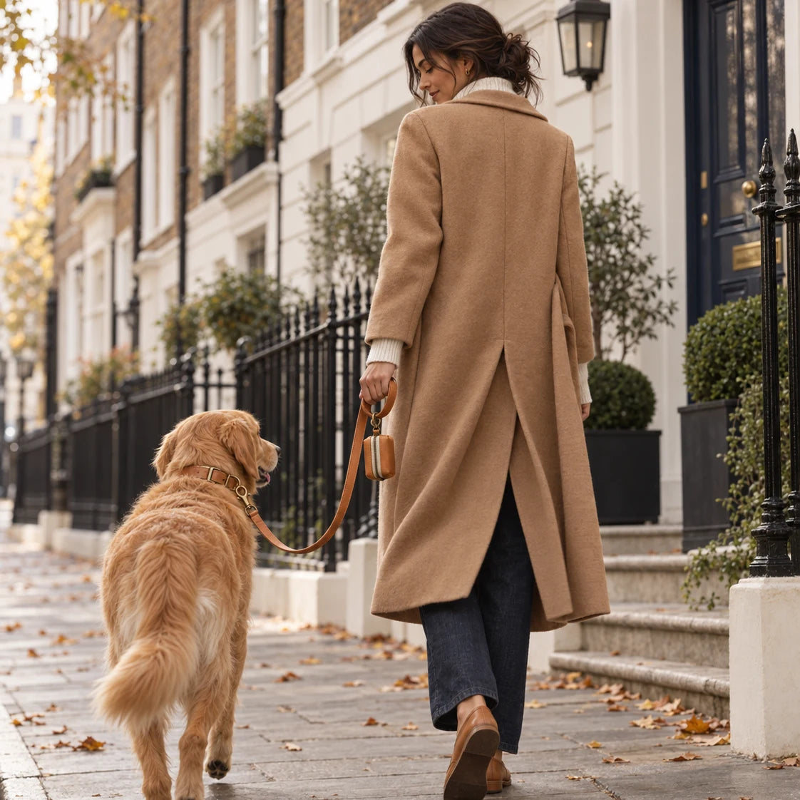The Marylebone Walking Set in Saddle on a Golden Retriever, walking a Marylebone street