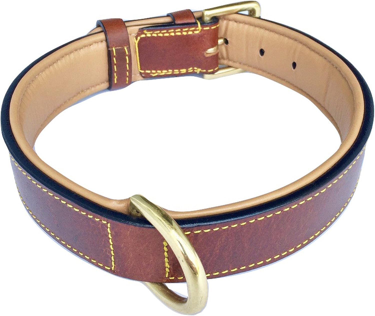 XL Leather Padded Dog Collar