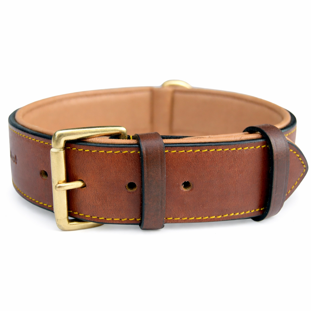 XL Leather Padded Dog Collar