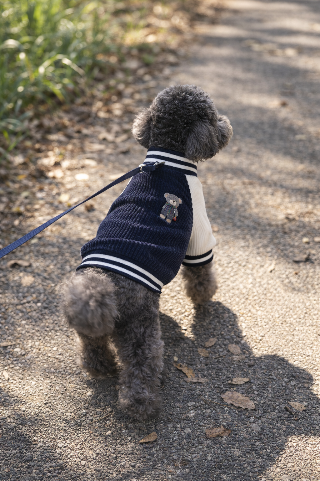 Dog Baseball Jacket