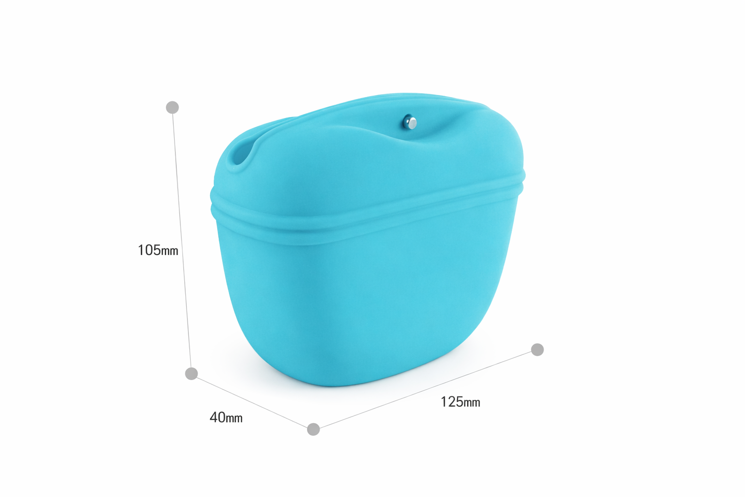 Dog Treat Training Pouch