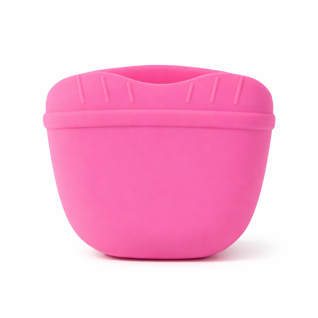 Dog Treat Training Pouch