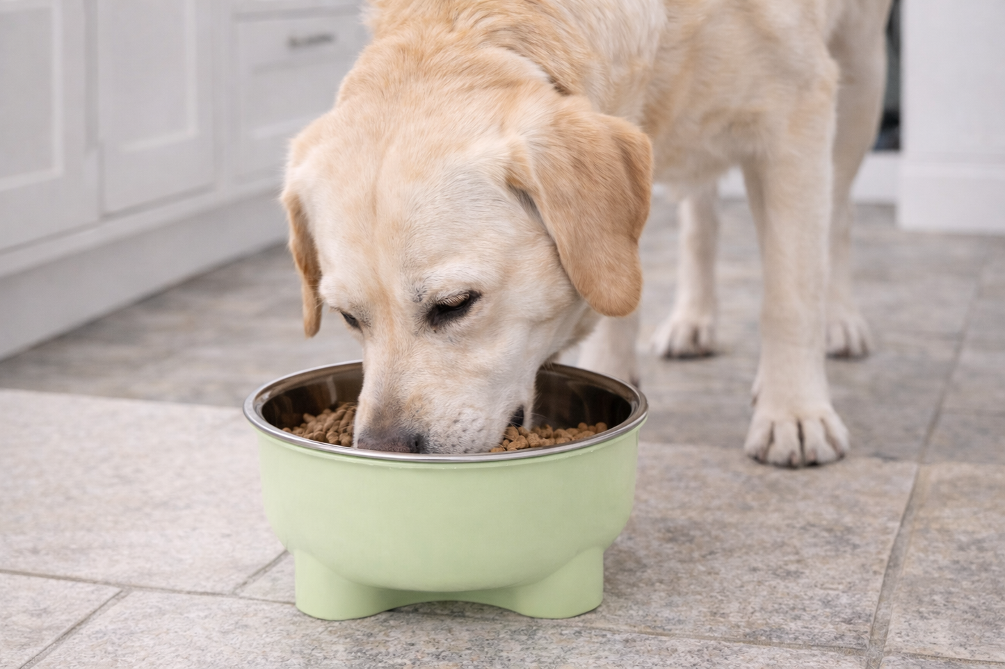 Stainless Steel Pet Bowl