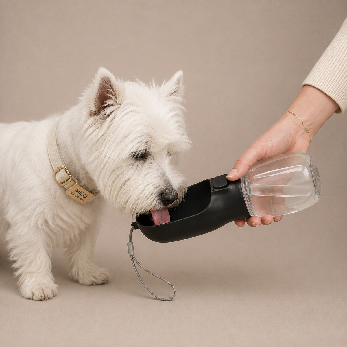 Portable Dog Water Bottle