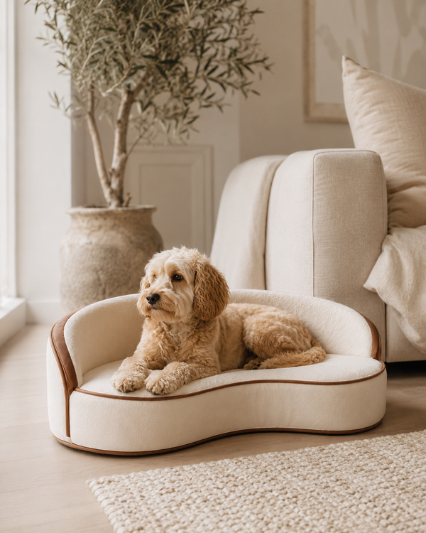 Maida Vale Luxury Dog Sofa