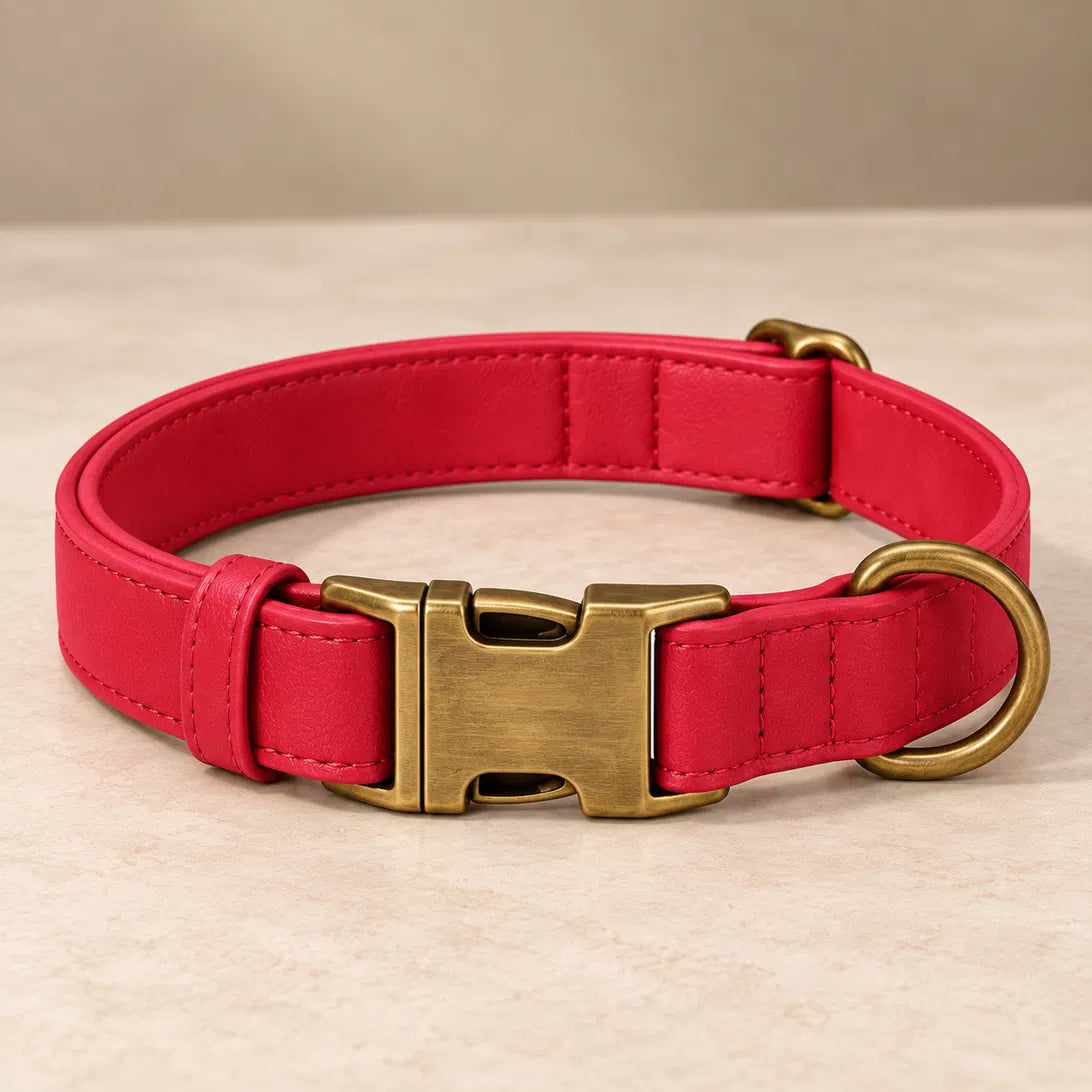 Berry vegan leather collar with antique brass buckle, ready to engrave
