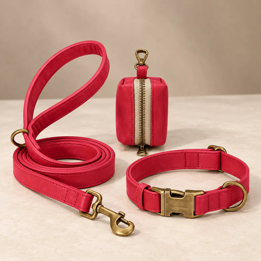 The Marylebone Walking Set in Berry