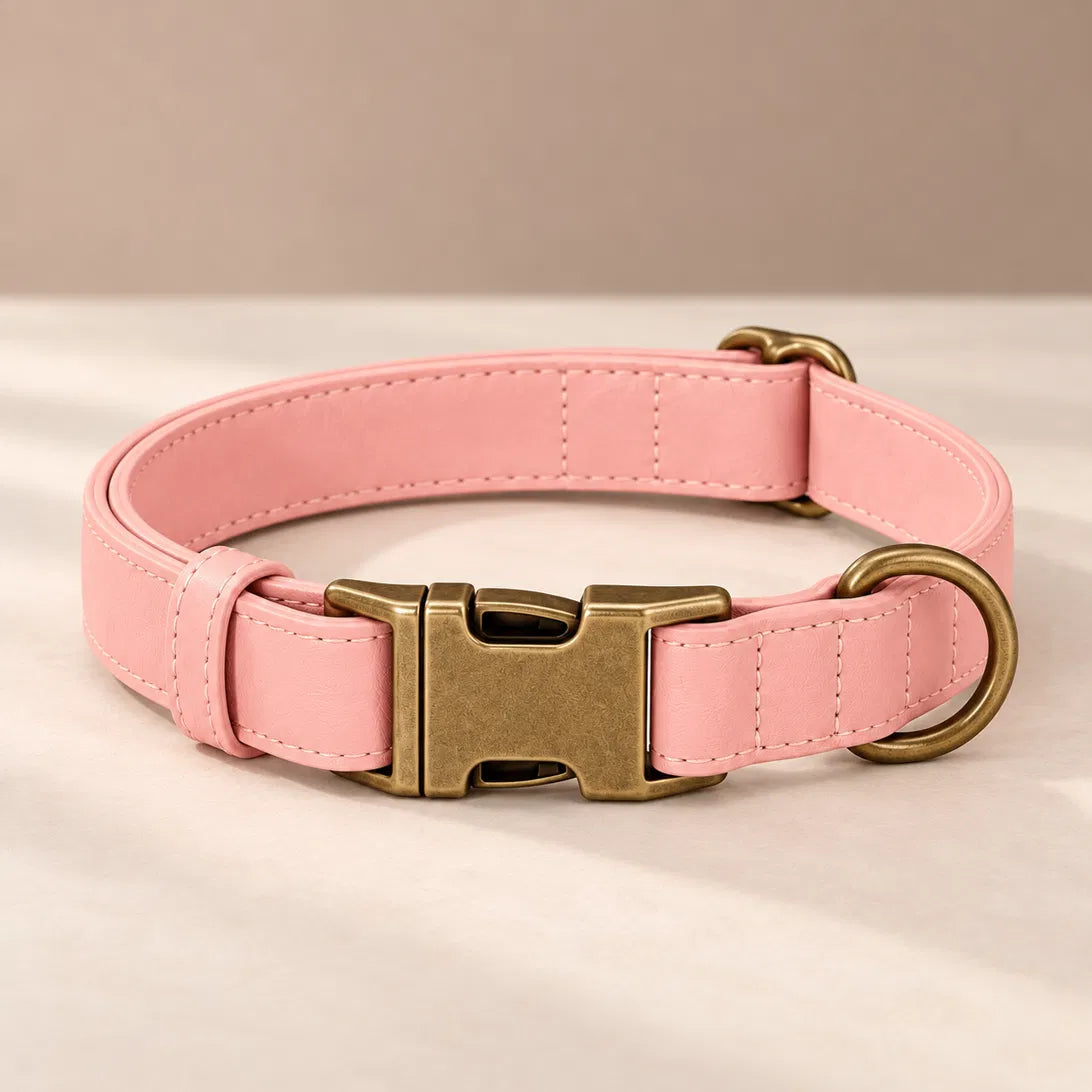 Blush vegan leather collar with antique brass buckle, ready to engrave