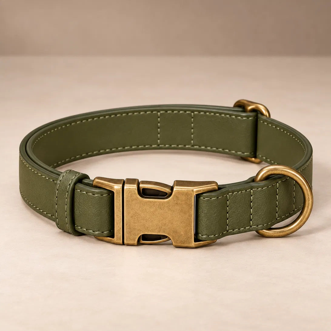 Moss vegan leather collar with antique brass buckle, ready to engrave