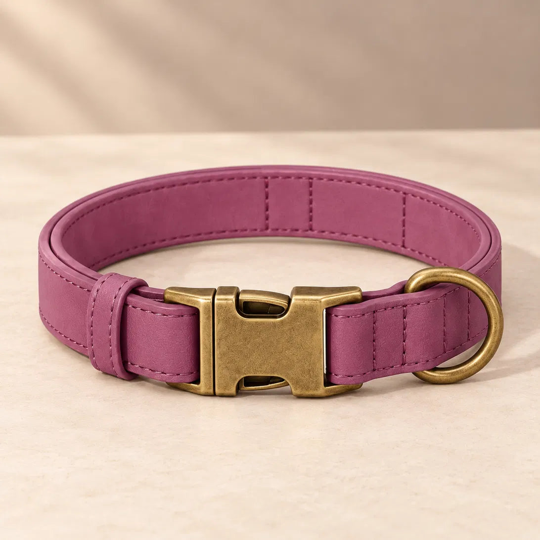 Plum vegan leather collar with antique brass buckle, ready to engrave