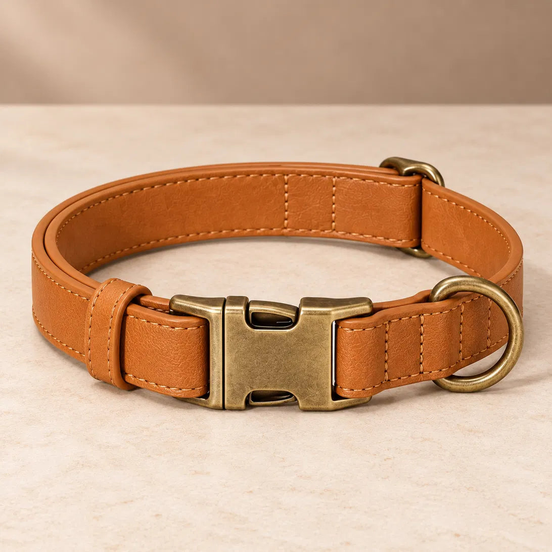 Saddle vegan leather collar with antique brass buckle, ready to engrave