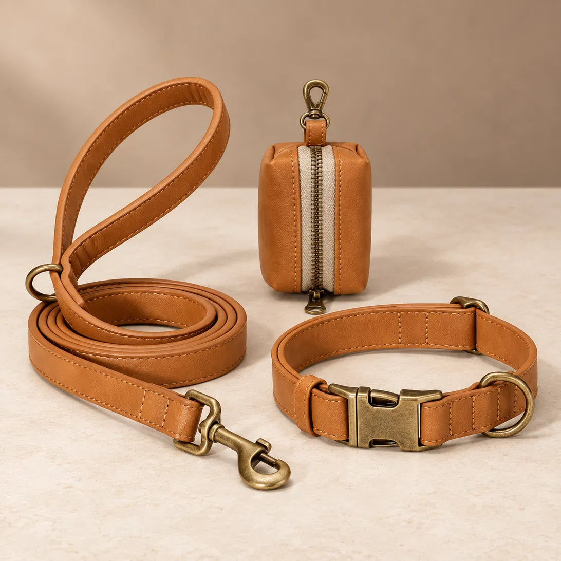 The Marylebone Walking Set in Saddle: collar, lead and poop bag holder